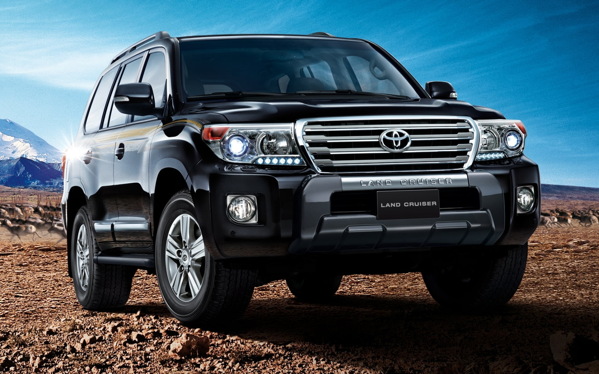 Rayyan Travels Toyota Land Cruiser self drive car in Goa